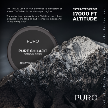 Pure Shilajit Natural Resin