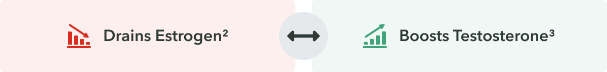 <h2>Puro is the only formula that attacks BOTH side of the hormonal inbalance</h2>